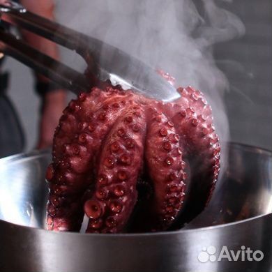 Осьминог (целый) 1-2кг