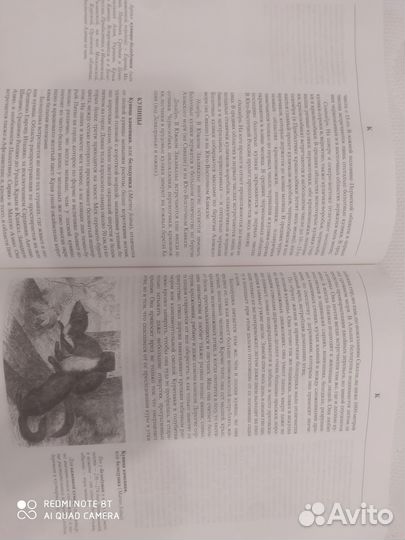 Элитное издание, книга 