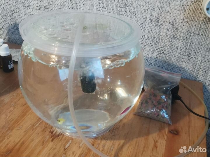 Аквариум с рыбками