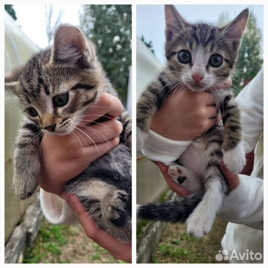 Милые мальчики