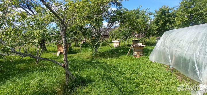 Мед с личной деревенской пасеки