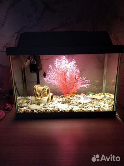 Продаю аквариум