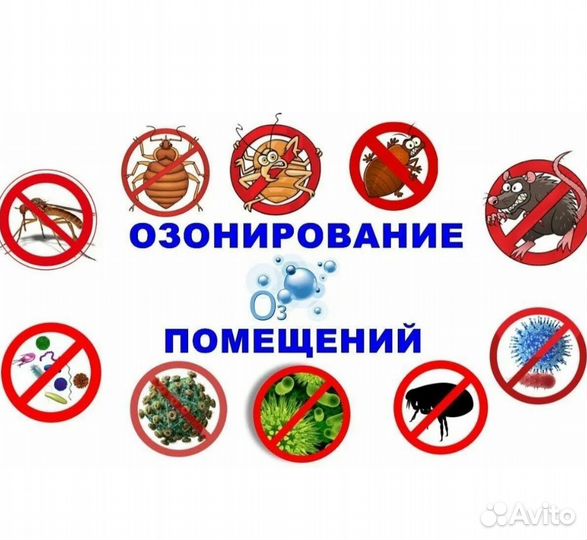 Дезинфекция, озонирование, устранение запахов