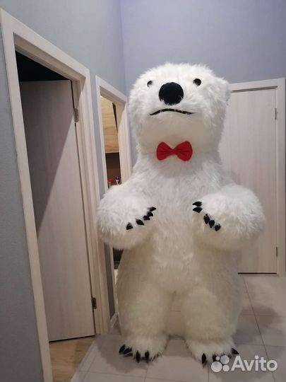 Аренда, Продам Белый мишка костюм