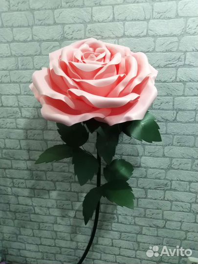 Ростовые цветы