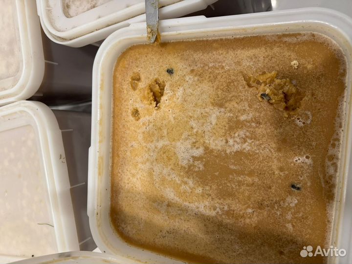 Мед алтайский цветочный