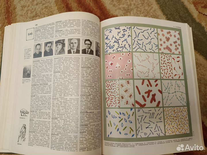 Украинский советский энциклопедический словарь