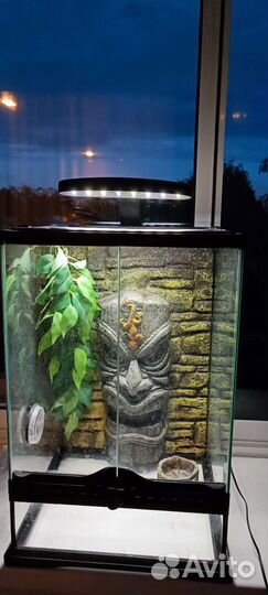 Террариум Exo-Terra