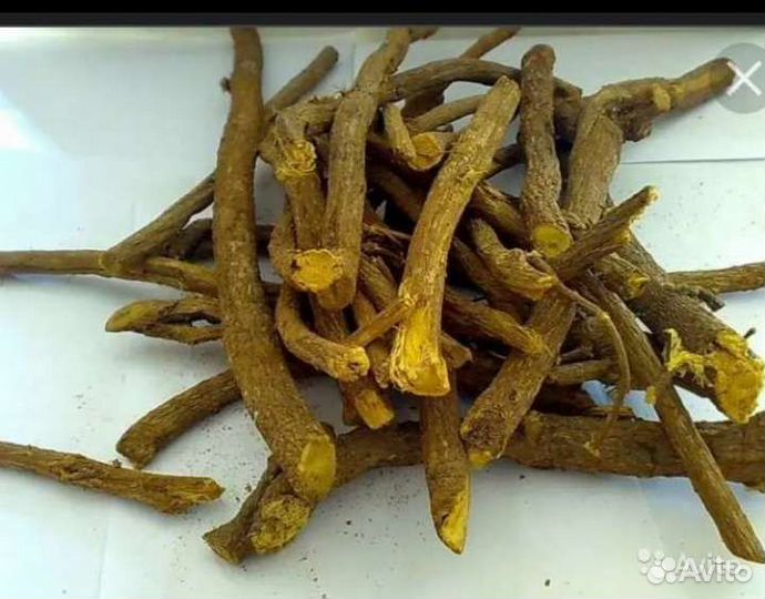 Трава парезная/пармелия блуждающая/солодка голая