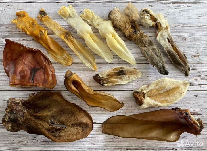 Лакомства для собак