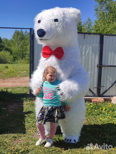 Поздравление от белого медведя