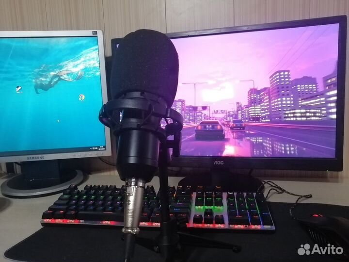 Микрофон Ritmix RDM-160