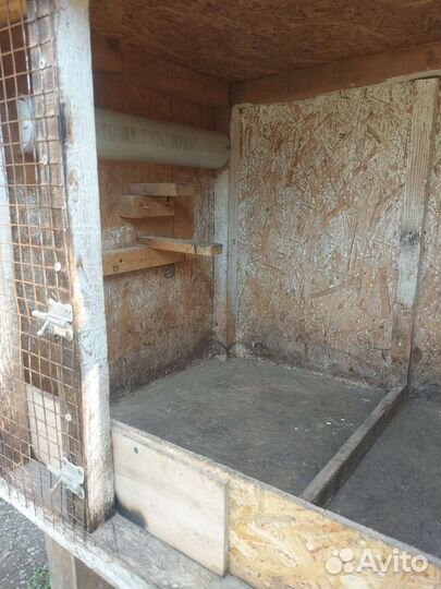 Брудер для птиц