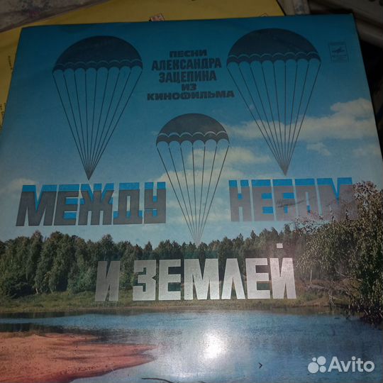 Виниловые пластинки