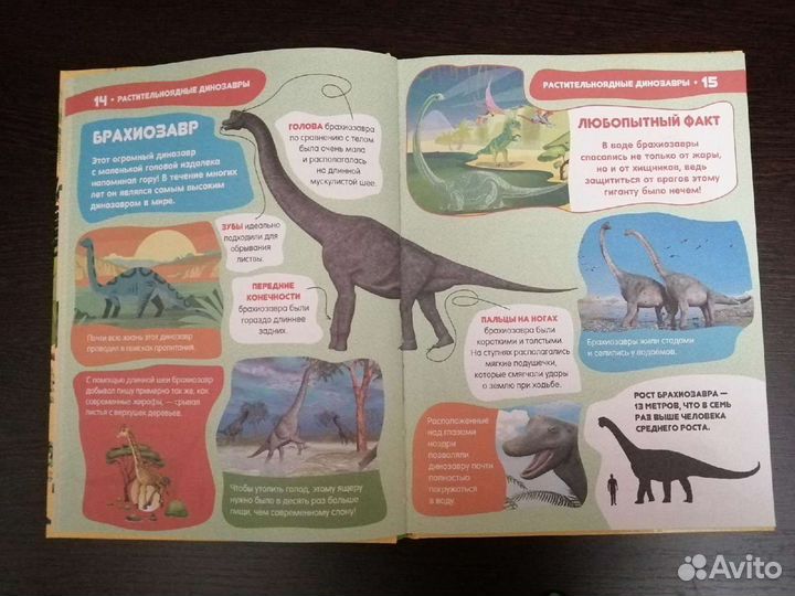 Энциклопедия