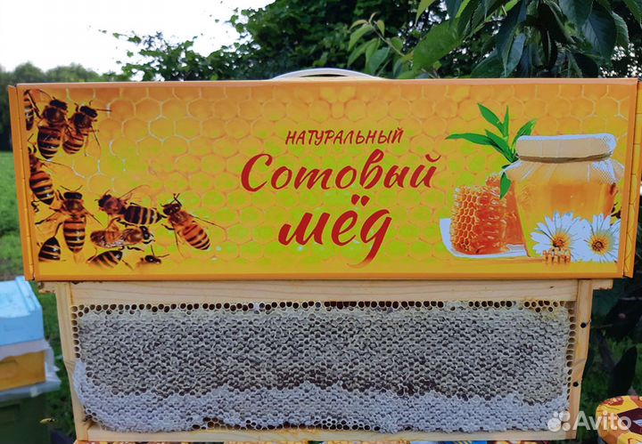 Сотовый мёд