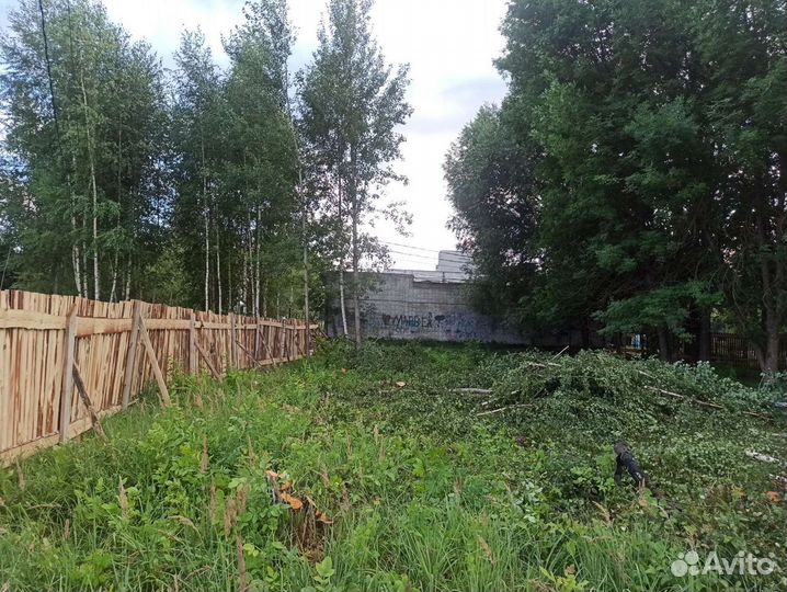 Расчистка участка от деревьев