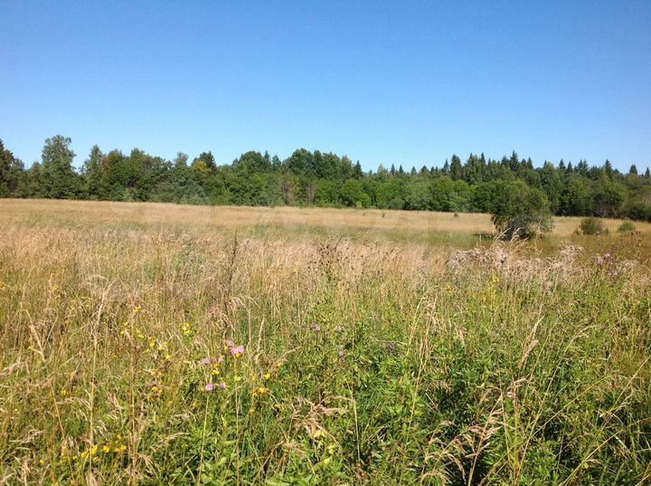 Участок 12,5 сот. (ИЖС)