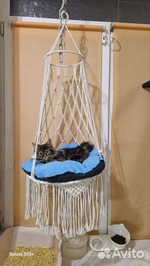Гамак для кошек на окно