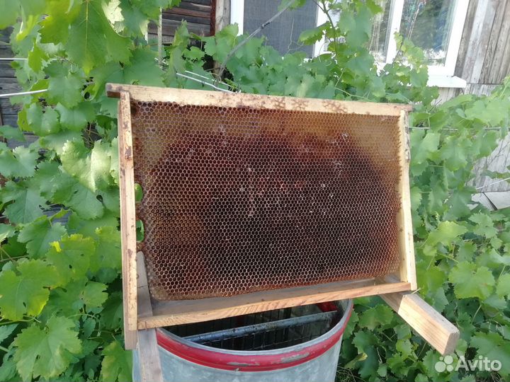 Ульи дадановские 7 рамок, сушь