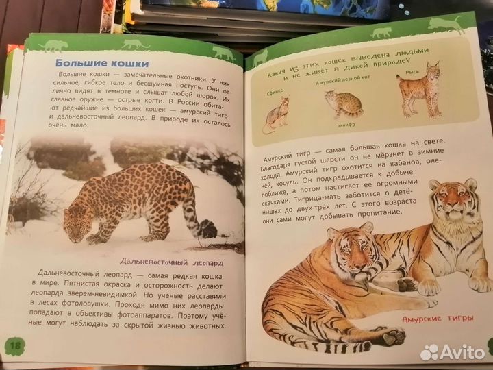 Книги, энциклопедии, интересные