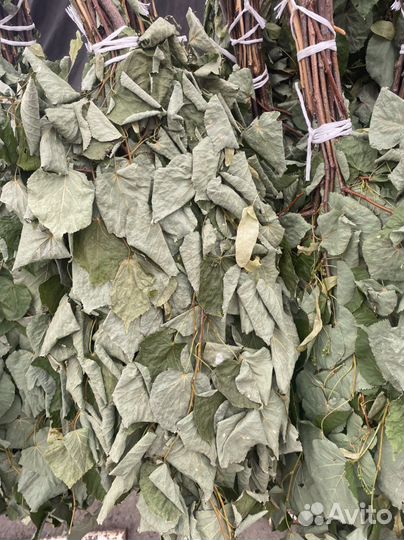 Веники для бани