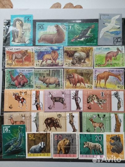 Марки коллеция