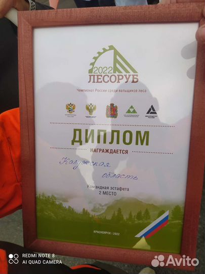 Спил деревьев
