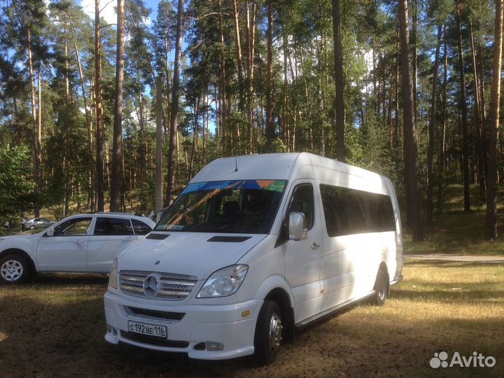 Аренда автобусов автобуса