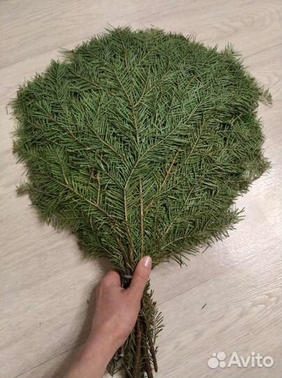 Веники пихта