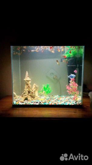 Аквариум