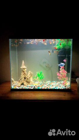 Аквариум