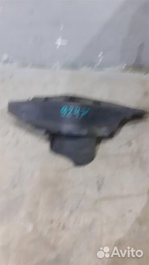 Защита антигравийная от VW Tiguan 2011