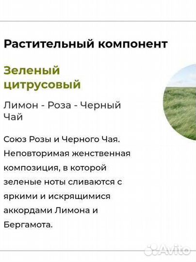 Yves Rocher Парфюмерная Вода Verte Envolée, 100мл