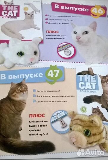 The Cat collection