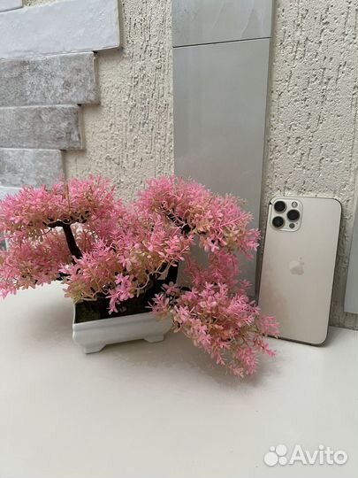 iPhone 12 Pro Max, 128 ГБ