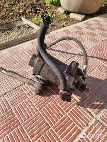 Гур на газель