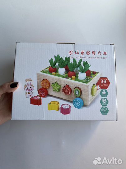 Сортер детский Новый деревянный