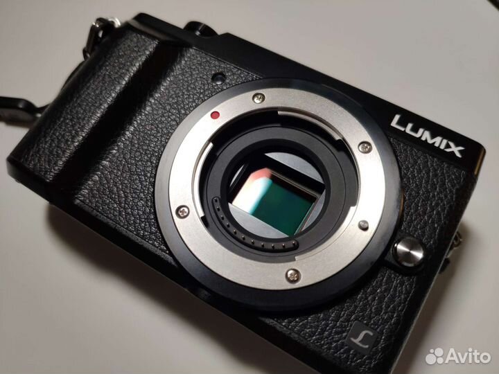 Panasonic Lumix DMC-GX80 + допы