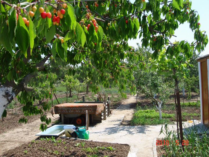 Дом 52 м² на участке 7 сот.