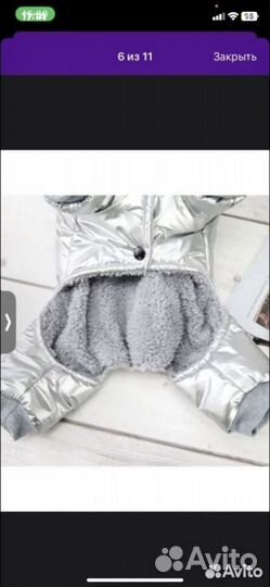 Одежда для маленьких собак зимняя