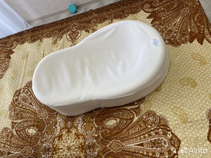 Кокон зевушка