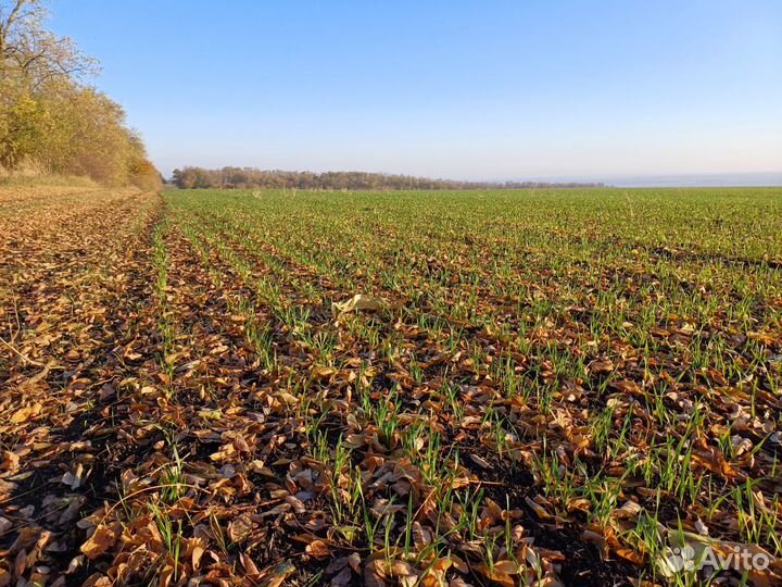 Готовый бизнес и оборудование