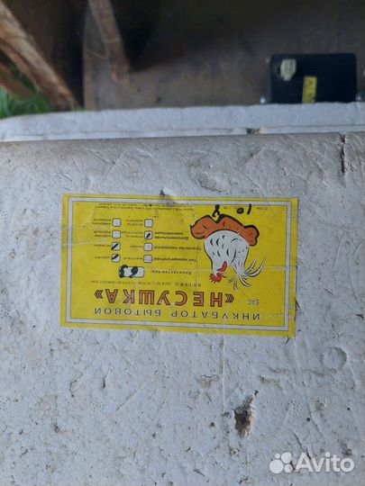 Инкубатор несушка