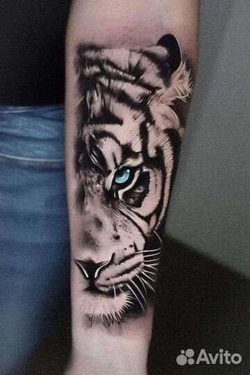 Тату мастер, перекрытие, коррекция татуировок