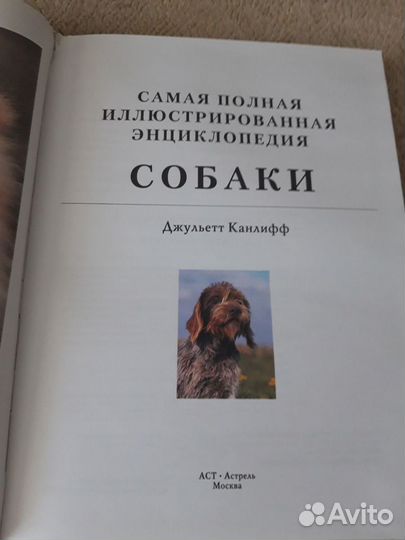 Собаки Самая полная энциклопедия