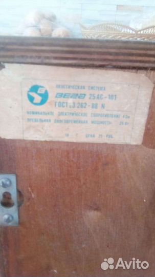 Колонки Вега 25 ас-101