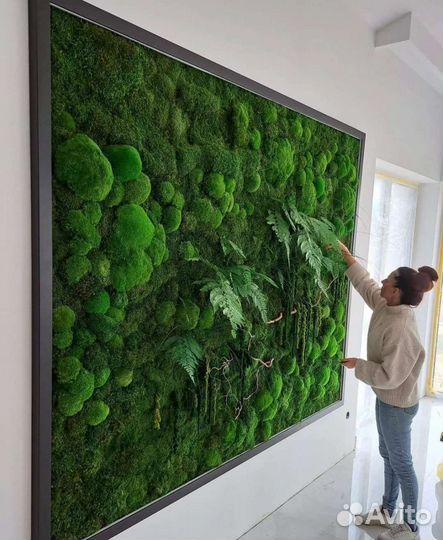 Картины и Панно из стабилизированного мха