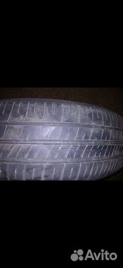 Dunlop SP Winter Maxx WM01 175/65 R15
