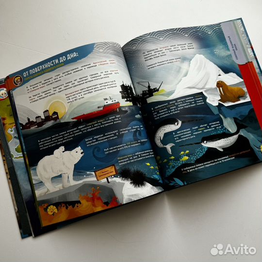 Энциклопедия океана, млекопитающих и птиц за 2 шт